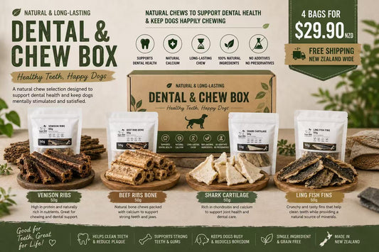 Dental & Chew Box - Natural Long-Lasting Dog Chews