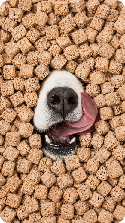 Freeze-Dried Tuna Cubes 50g