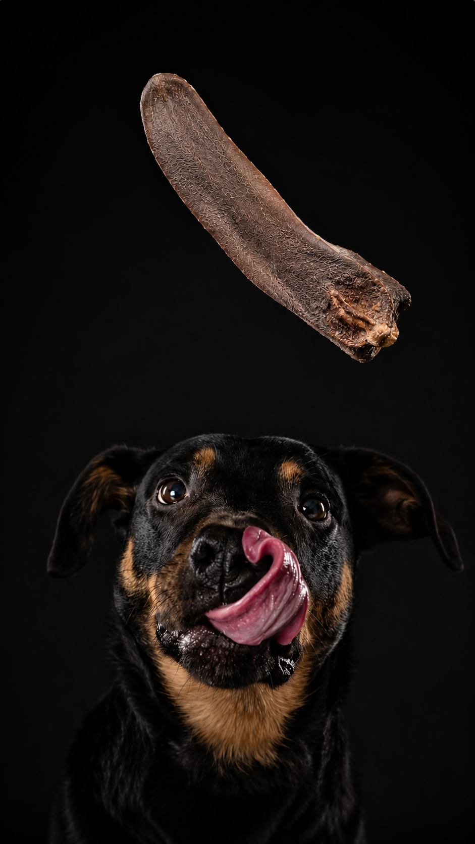 Freeze-Dried Venison Tongue 50g